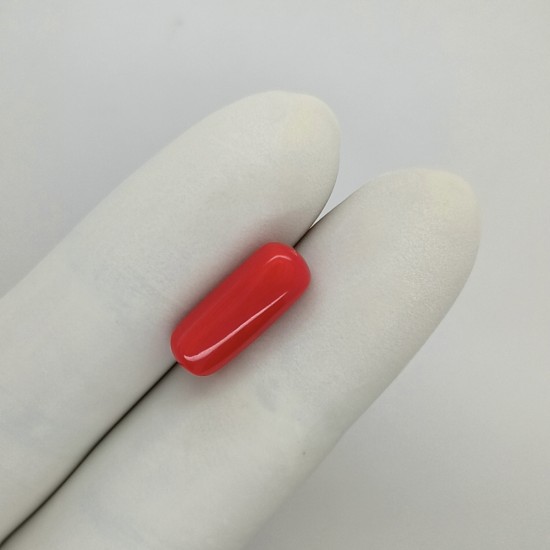 Coral (Moonga) 6.25 Ct Best Quality